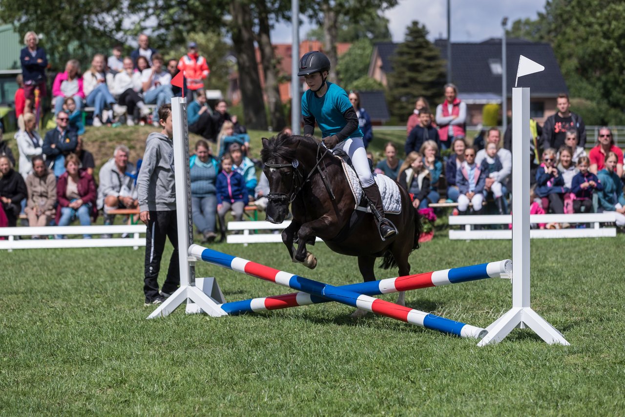 Bild 52 - Pony Akademie Turnier